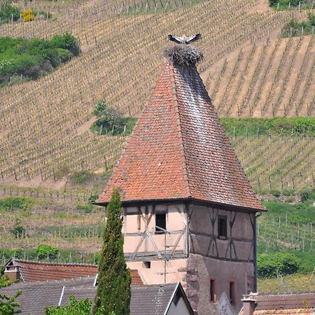 Gite Du Vignoble อัมเมอร์ชวีร์ ภายนอก รูปภาพ