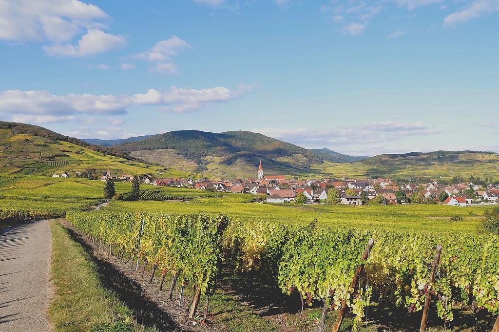 Gite Du Vignoble อัมเมอร์ชวีร์ ภายนอก รูปภาพ
